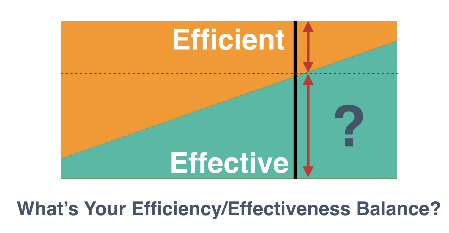 018-PPP-Efficiency-Effectiveness-Balance.png